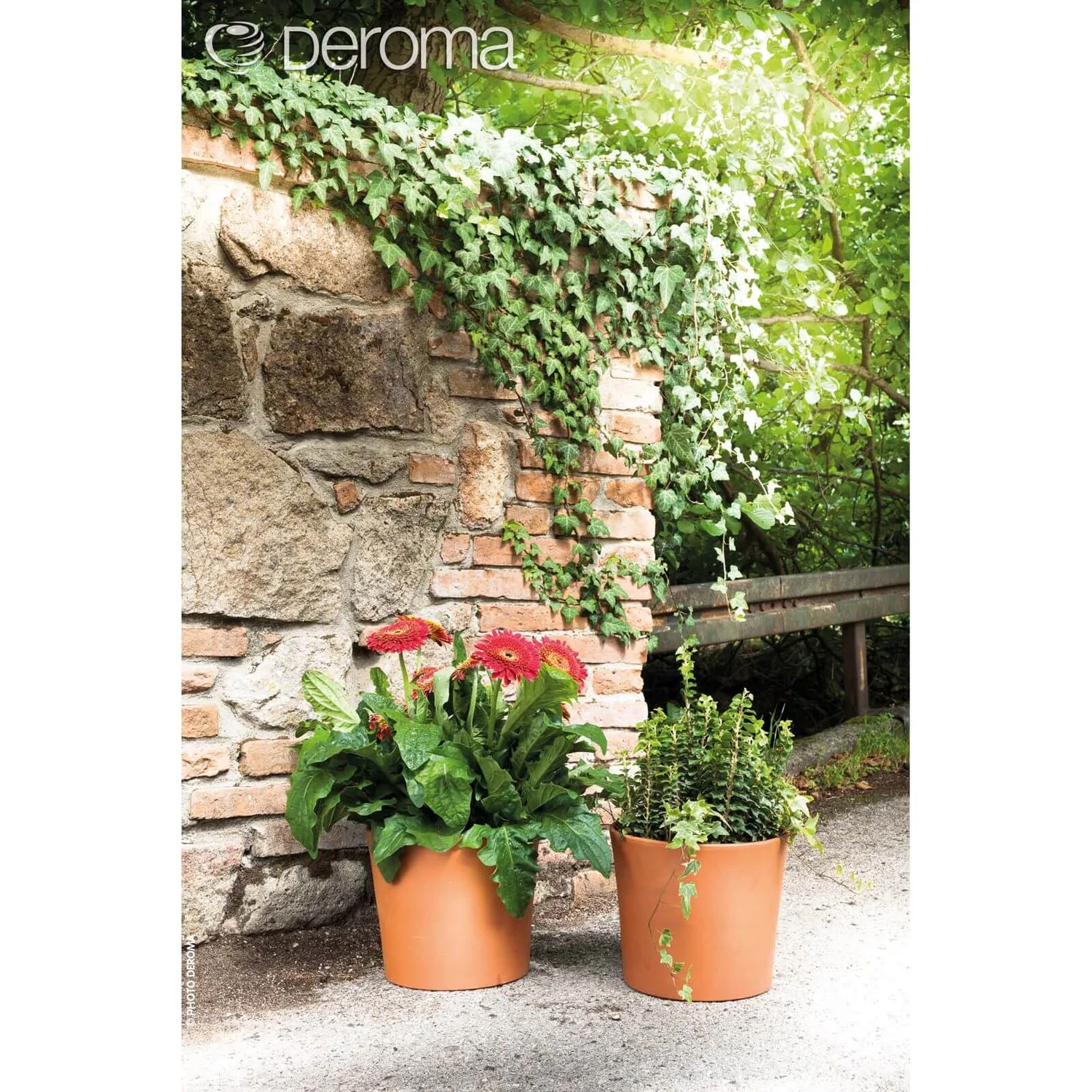 Deroma Terracotta Border Cylinder Plant Pot - 28cm 4 Deroma Terracotta Border Cylinder Plant Pot - 28cm - Image 2