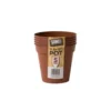Flower Pots In Orange (Pack Of 5) - 13cm -Green Haven Shop 12842997 2024831915768080