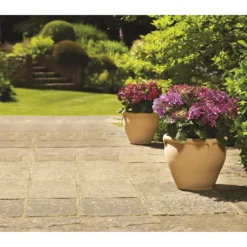 Green Haven Shop -Green Haven Shop 12885647 1524843612399878