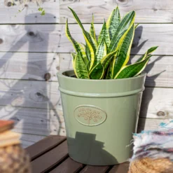 Country Living Heritage Sage Cone Pot - 33cm -Green Haven Shop 13188755 4344933183213293