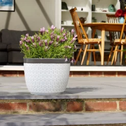 House Beautiful 2 Tone Grey Rim Egg Pot - 20cm -Green Haven Shop 13188792 1614943630108265