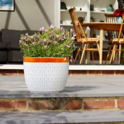 Green Haven Shop -Green Haven Shop 13188803 1584943630122998