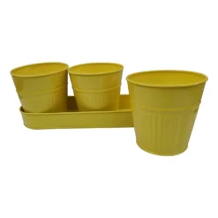 Zinc Ribbed Herb Pots & Tray -Green Haven Shop 13193962 1974933502681511