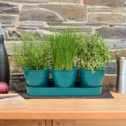 Zinc Ribbed Herb Pots & Tray -Green Haven Shop 13193962 7244933502600220