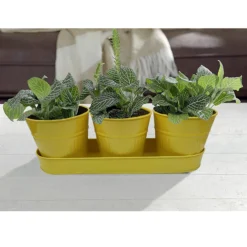 Zinc Ribbed Herb Pots & Tray -Green Haven Shop 13193962 8744933502628279
