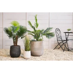 Liam Round Stripe Planter - Large -Green Haven Shop 13222488 1224929320834040