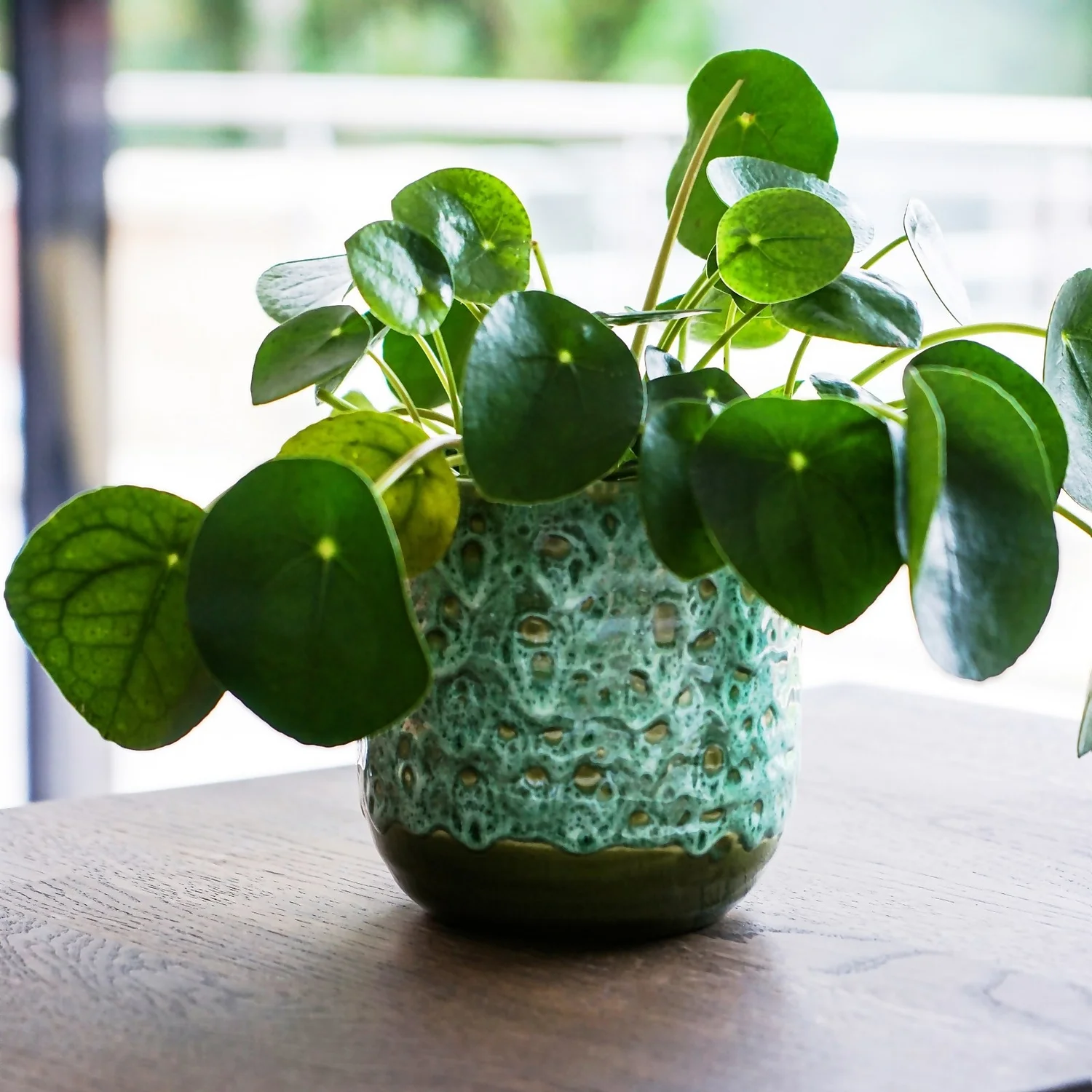 House Beautiful Emerald Glaze Planter 16cm 4 House Beautiful Emerald Glaze Planter 16cm - Image 2