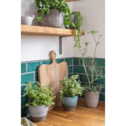 Hampton Moon Plant Pot - 16cm 6 Hampton Moon Plant Pot - 16cm -Green Haven Shop 13432908 9454914553323723