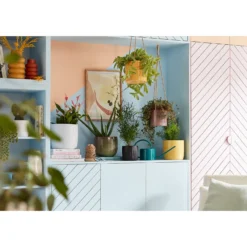 Perla White Plant Pot - 15cm 9 Perla White Plant Pot - 15cm -Green Haven Shop 13432913 1764948249995216