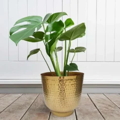 Hammered Brass Indoor Plant Pot - 16cm -Green Haven Shop 13887185 1304999810003221