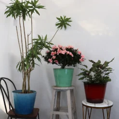 Glazed Finish Planter Mustard 30cm -Green Haven Shop 13928631 1245001956300424