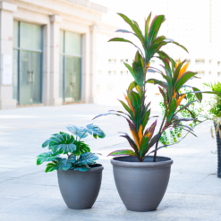 Ashford Planter Grey 45cm -Green Haven Shop 13928637 1825001956470968