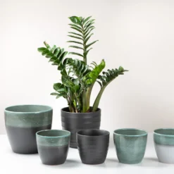 Scheurich Black Indoor Pot - 25cm -Green Haven Shop 13953250 1214987119829374