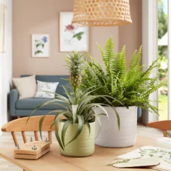 Scheurich Ripple Soft Green Indoor Pot - 17cm -Green Haven Shop 13953266 2044987119911088