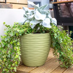Wave Pot Olive - 33cm -Green Haven Shop 13973617 8945011239984387