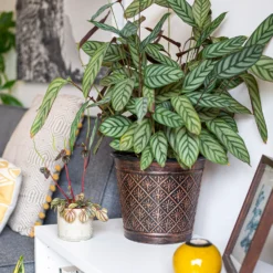 Vintage Allium Patterned Cone Pot - 37cm -Green Haven Shop 13973621 6475011239983391