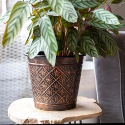 Vintage Allium Patterned Cone Pot - 37cm -Green Haven Shop 13973621 8485011239919857