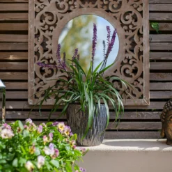 Chiswick Textured Pot Black - 38cm -Green Haven Shop 13973633 2705011242800862