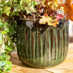 Chiswick Running Pot Green - 24cm -Green Haven Shop 13973645 1285011238620542