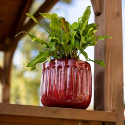 Chiswick Running Pot Red - 18cm -Green Haven Shop 13973651 1775011238634708