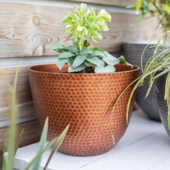 Suva Hammered Pot Copper - 38cm 11 Suva Hammered Pot Copper - 38cm -Green Haven Shop 13973653 2035011805987649