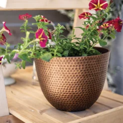 Suva Hammered Pot Bronze - 38cm -Green Haven Shop 13973655 1115011805774286