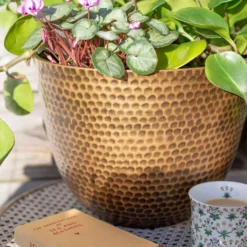 Suva Hammered Pot Bronze - 38cm -Green Haven Shop 13973655 9525011805626407