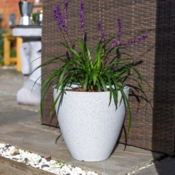 Pinto Egg Pot Beige - 37cm -Green Haven Shop 13973673 2105011238792967