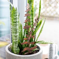 Floral Bronze Ground Stakes - 45cm (Assorted Designs) -Green Haven Shop 13981009 1695005324721013