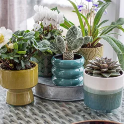 Two Tone Ombre Indoor Plant Pot - 12cm -Green Haven Shop 14197407 1295024191549506