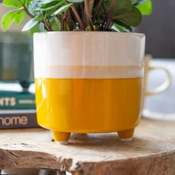 Two Tone Ombre Indoor Plant Pot - 12cm -Green Haven Shop 14197407 3655024191436277