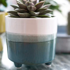 Two Tone Ombre Indoor Plant Pot - 12cm -Green Haven Shop 14197407 8595024191498422