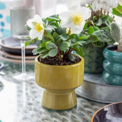 Chamfered Indoor Plant Pot - 13cm -Green Haven Shop 14197408 1605024191451436