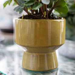 Chamfered Indoor Plant Pot - 13cm -Green Haven Shop 14197408 1935024191546788