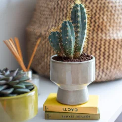 Chamfered Indoor Plant Pot - 13cm -Green Haven Shop 14197408 4575024191304589