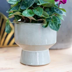 Chamfered Indoor Plant Pot - 13cm -Green Haven Shop 14197408 5435024191504467