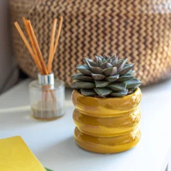 Ribbed Indoor Plant Pot - 11cm -Green Haven Shop 14197409 1165024191339590