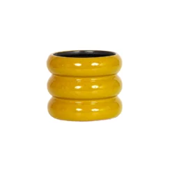 Ribbed Indoor Plant Pot - 11cm -Green Haven Shop 14197409 1325024191243200