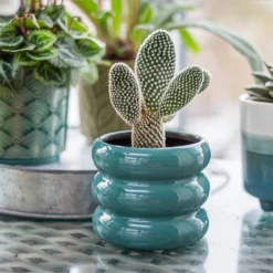 Ribbed Indoor Plant Pot - 11cm -Green Haven Shop 14197409 6435024191381575