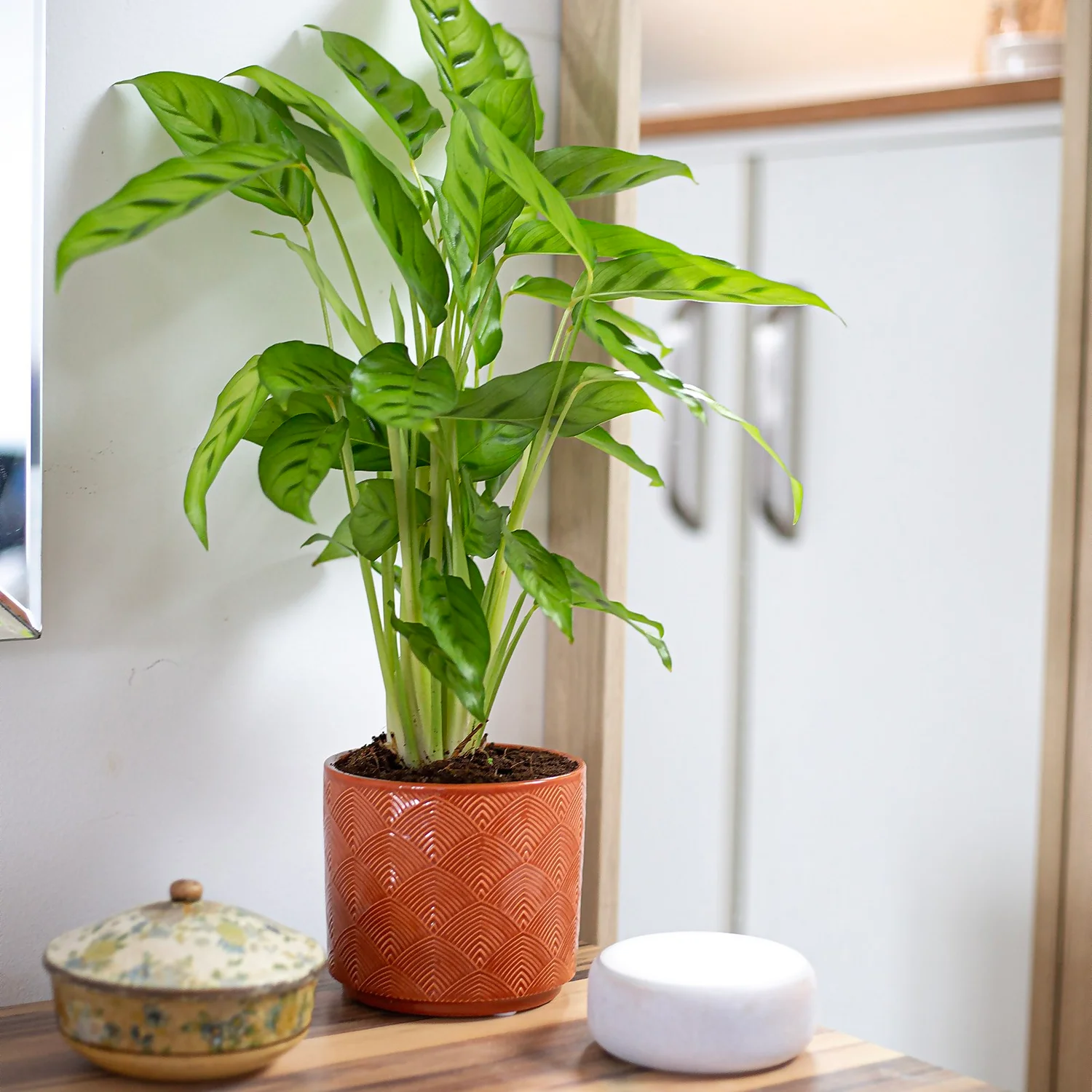 Art Deco Indoor Plant Pot - 12cm 9 Art Deco Indoor Plant Pot - 12cm - Image 7