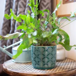 Art Deco Indoor Plant Pot - 12cm 19 Art Deco Indoor Plant Pot - 12cm -Green Haven Shop 14197411 8455024190966417